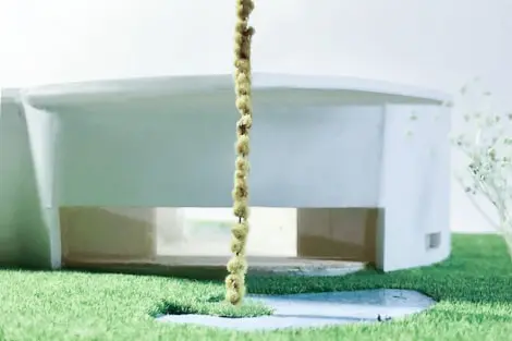 Picture of the model